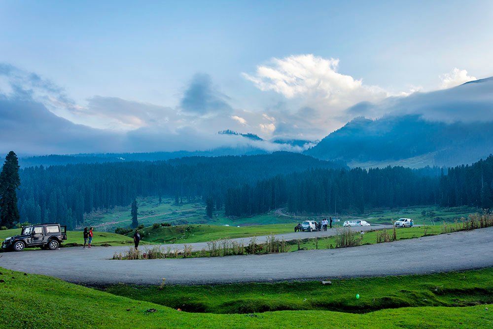 Meadows attraction from srinagar